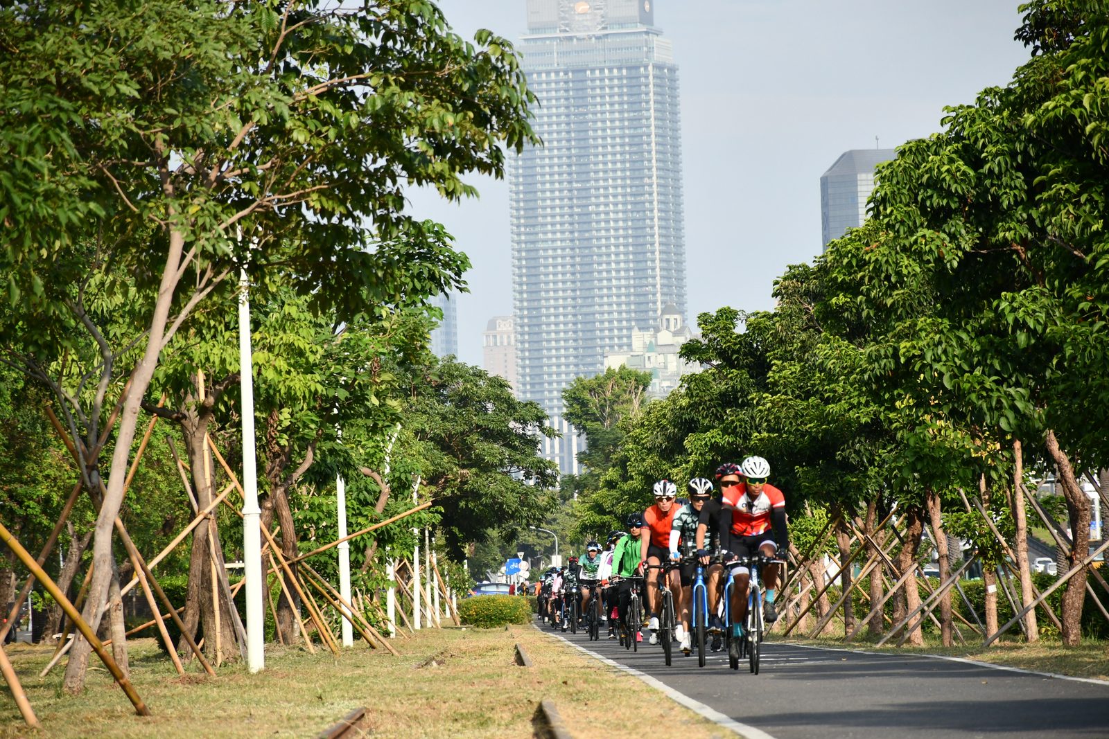 The pack threading past the skyline