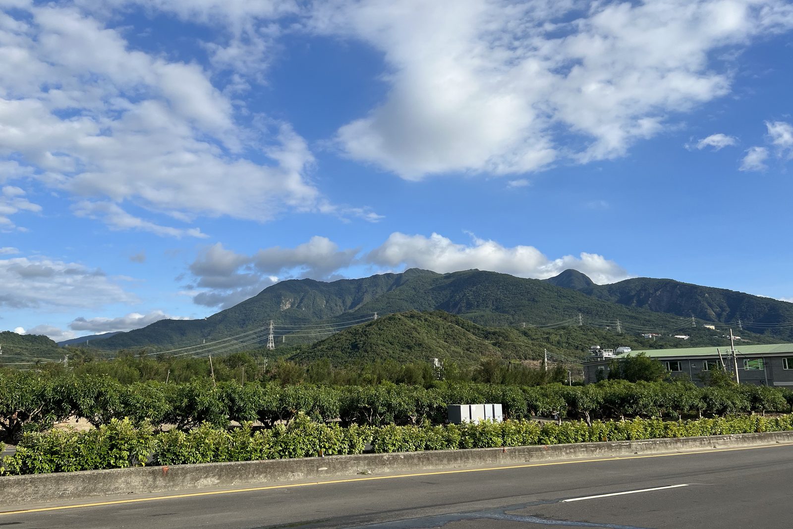 Mango orchards below the mountain ridge