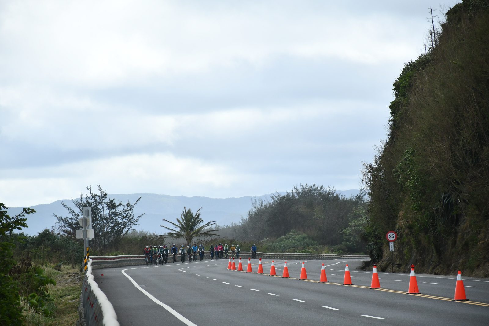 The pack stopped along the coast road