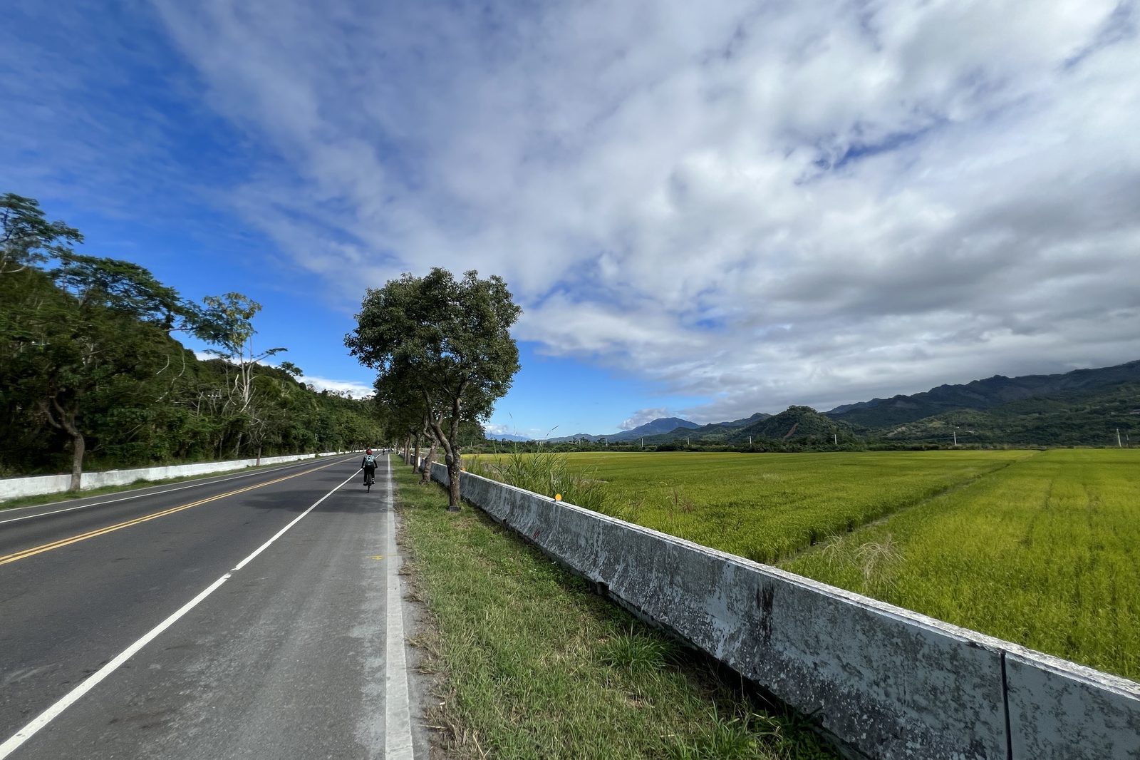 Riding the levee path beside the rice paddies