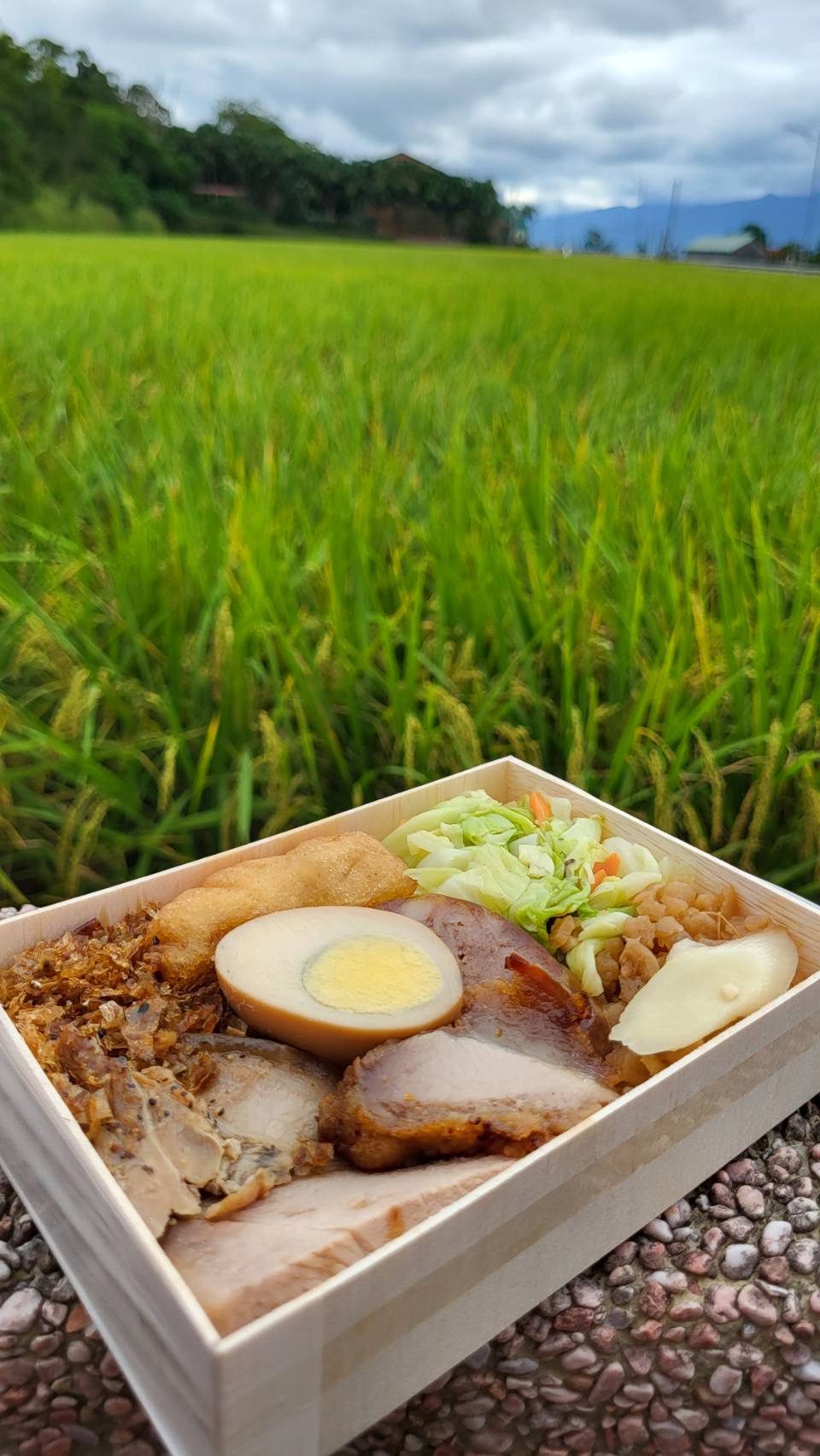 A boxed lunch enjoyed beside the rice fields