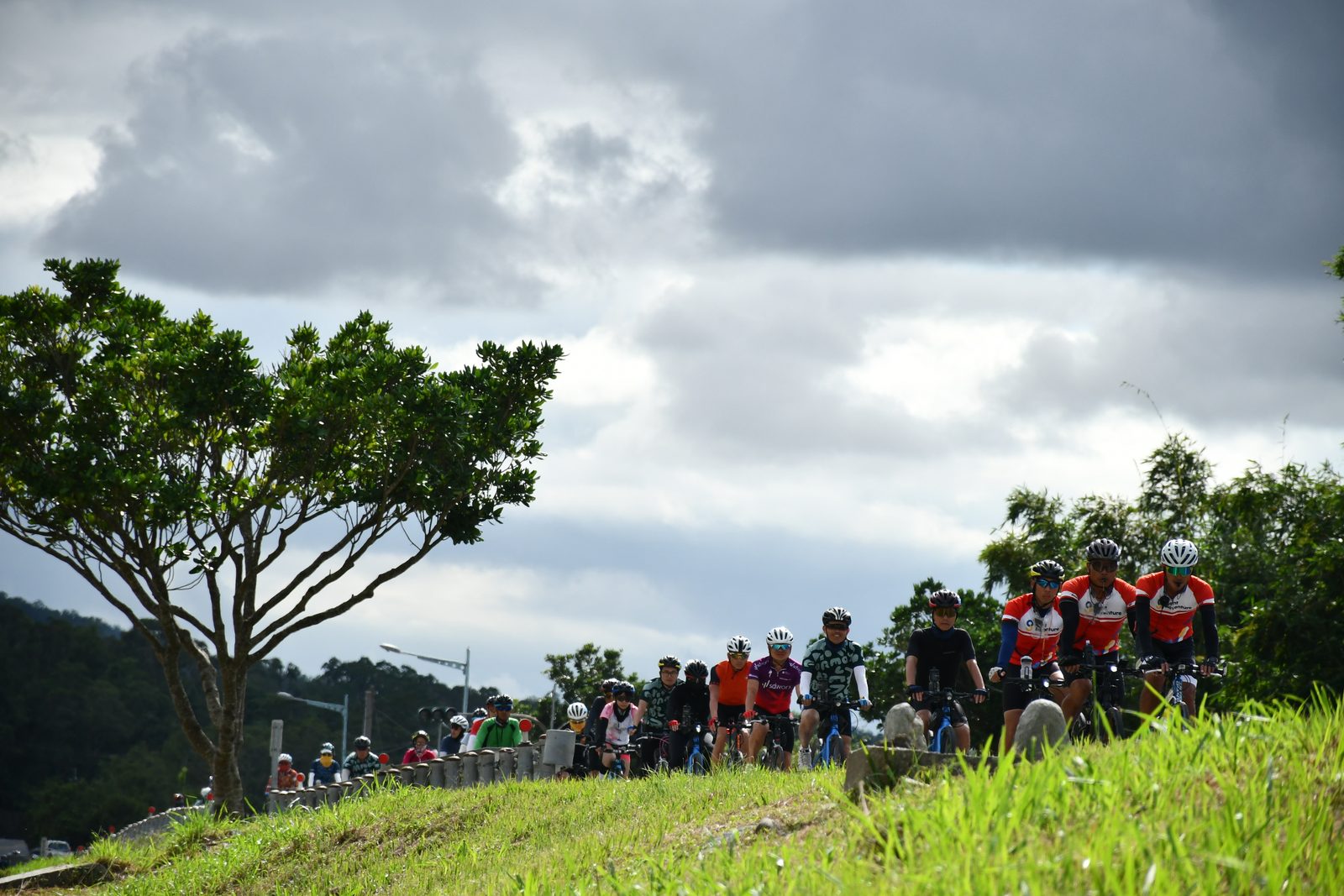 The pack cresting a hill under building storm clouds