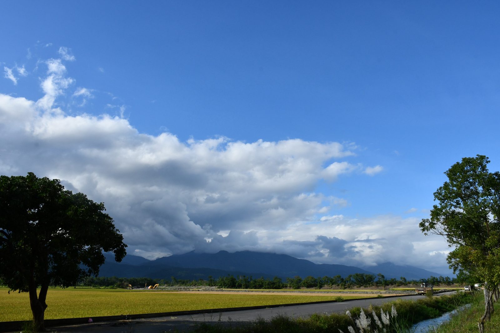 Storm clouds building over the rice fields