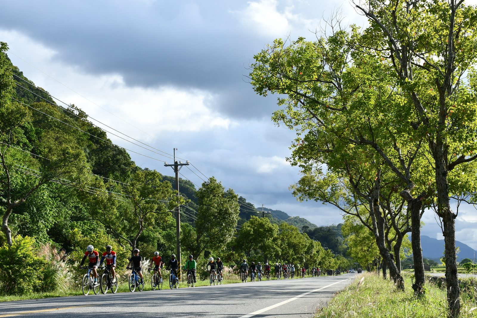 The group closing in beneath the trees