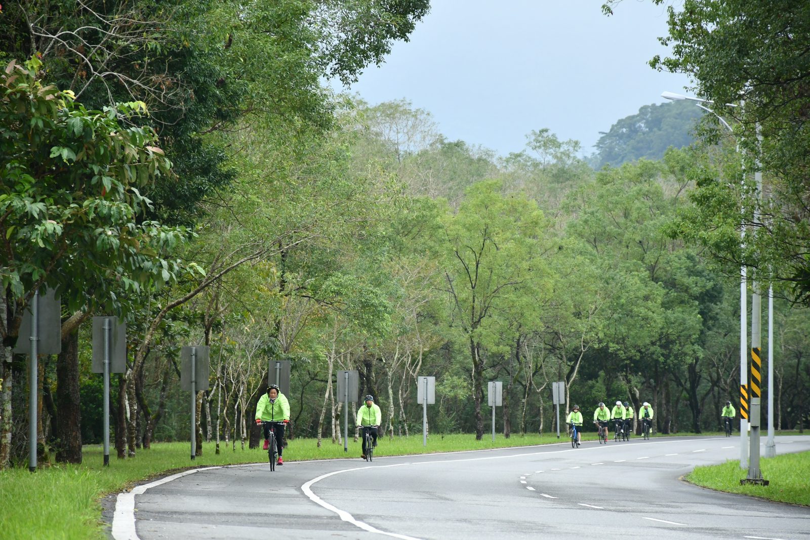 The group curving along a rain-slicked forest road